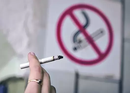este permis fumatul la intrare